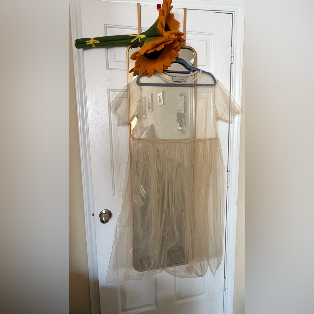 Elegant Sheer Cream Dress